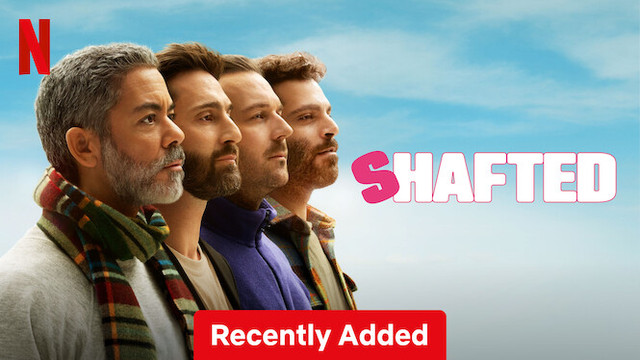 Shafted (2025) Hindi Web Series